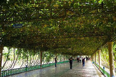 《去月球》《寻找天堂》《影子工厂》海滩特别篇公布